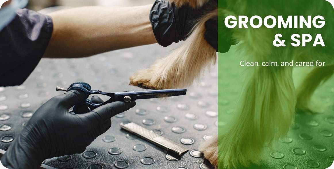grooming-spa