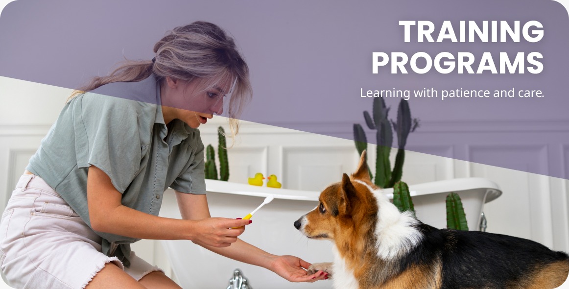 Training Programs